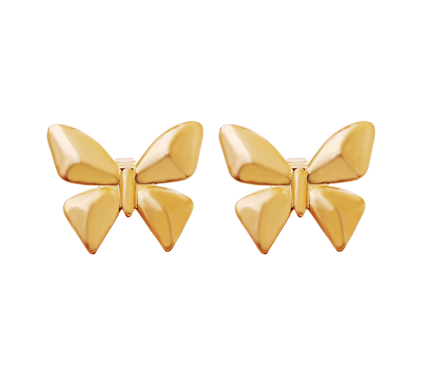 The Beutifly Bling Earrings - Bradiya