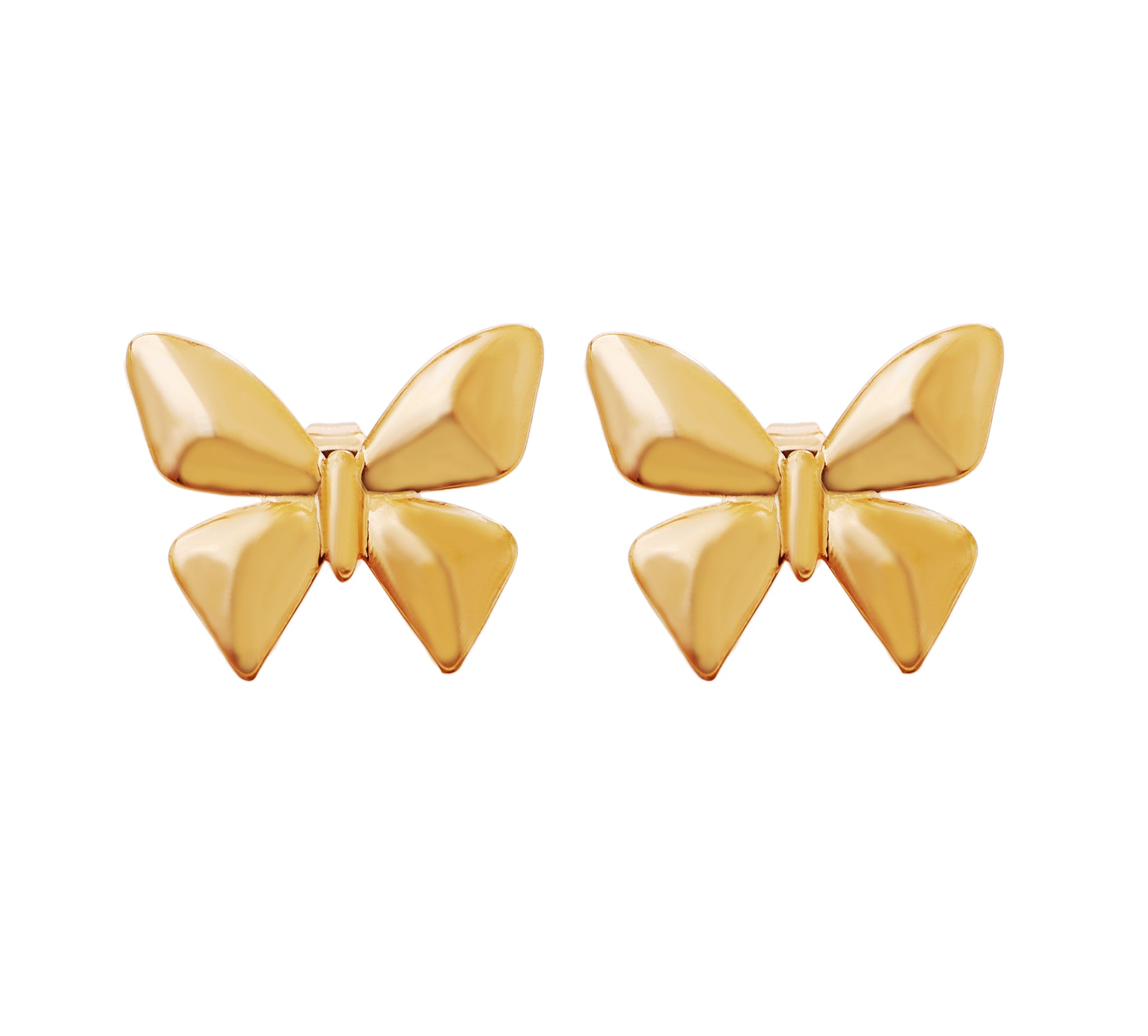 The Beutifly Bling Earrings - Bradiya